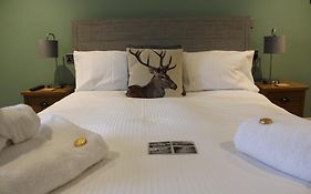 The White Lion Bed & Breakfast Ventnor  United Kingdom